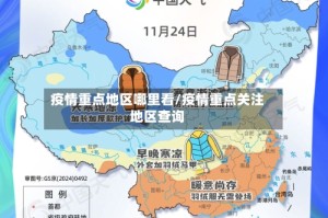 疫情重点地区哪里看/疫情重点关注地区查询