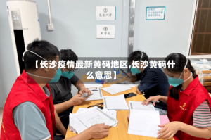 【长沙疫情最新黄码地区,长沙黄码什么意思】