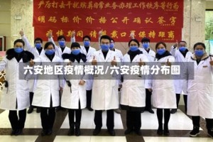 六安地区疫情概况/六安疫情分布图
