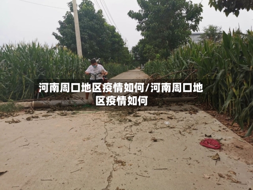 河南周口地区疫情如何/河南周口地区疫情如何-第2张图片