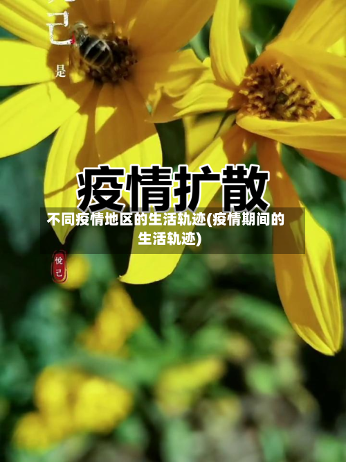 不同疫情地区的生活轨迹(疫情期间的生活轨迹)-第2张图片