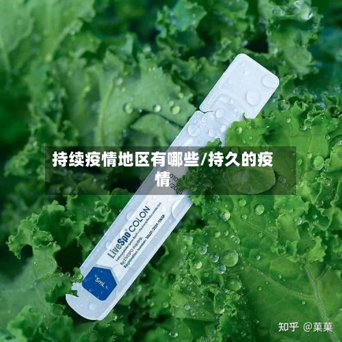 持续疫情地区有哪些/持久的疫情-第1张图片