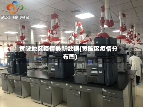 黄陂地区疫情最新数据(黄陂区疫情分布图)-第1张图片